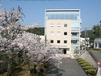 school