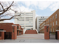 school