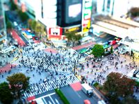 施設・設備のポイント2