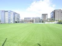 school