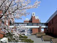 school