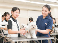 先生
