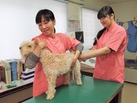 施設・設備のポイント3