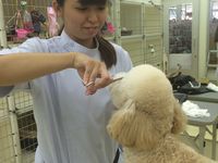 注目のカリキュラム